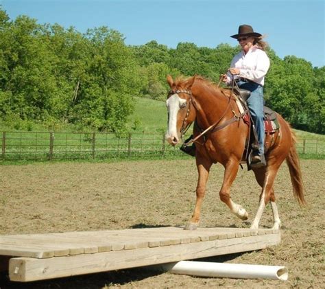 22Horse Obstacle Course Ideas | Horse arena, Horses, Horse training