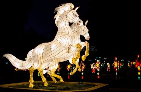 Twin Horse in Hat Yai Lantern Festival Stock Image - Image of colorfu ...