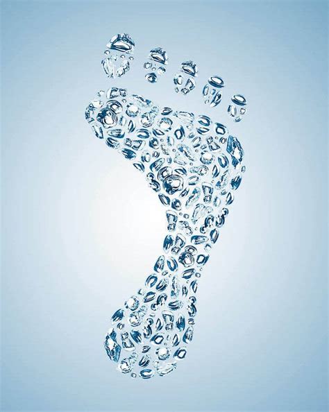 These Food You Consume Contribute a lot to Water Footprint