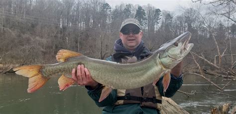 French Broad River land to be restored wetlands, muskie habitat