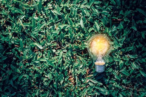 Closeup light bulb on green nature background 4889360 Stock Photo at ...