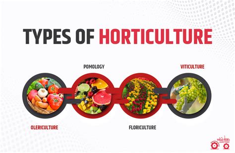 Horticulture Farming in India - Benefits, Coast, Types & Scope