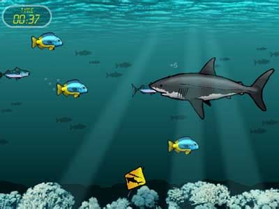 Play free Shark Atacks Online Game Online games. Play Shark Attacks on line