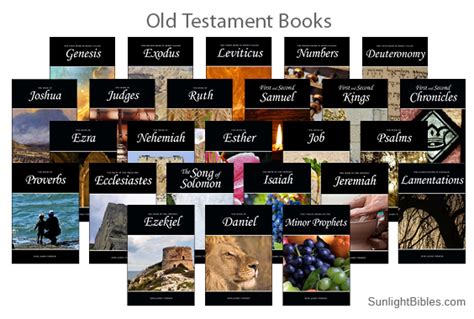 Old Testament Set of Bible Books (36 books in 25 volumes) – Sunlight Bibles