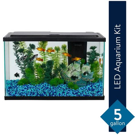 Aqua Culture 5-Gallon Fish Tank LED Aquarium Starter Kit - Walmart.com - Walmart.com