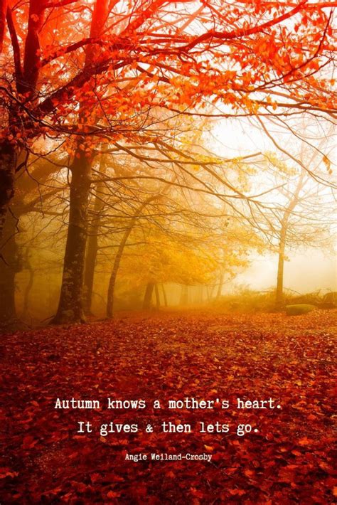 Autumn Quotes Inspirational, Fall Quotes, Fall Red Leaves, Autumn ...