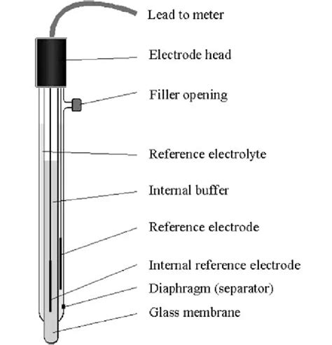 pH Meter: Parts, Principle, and Applications • Microbe Online