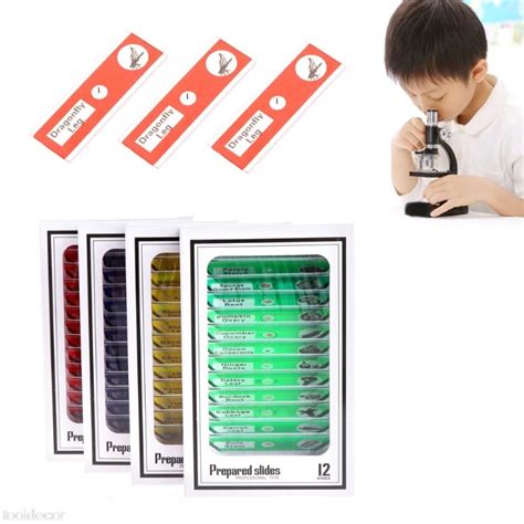 12 Pcs Prepared Microscope Slides Set Specimen For Student Basic ...