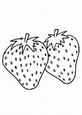 Fresh Strawberry Coloring Pages Learn To sketch template