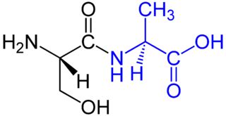 Structure Of Dipeptide