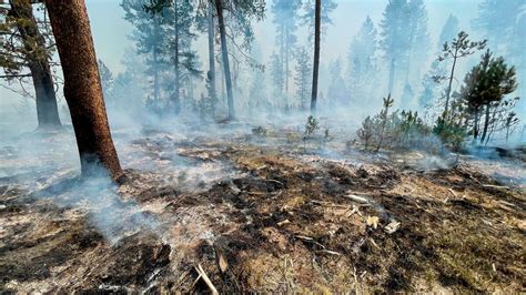 Oregon’s — and nation’s — largest fire grows, forcing evacuation of ...