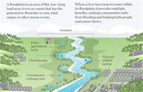 Two-Minute Takeaway: What is a Floodplain? — The Nature Conservancy in Washington