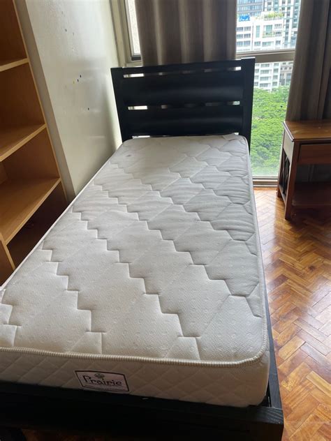 Single Bed Frame and Mattress on Carousell