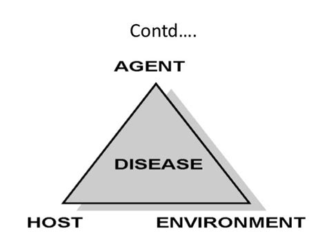 Epidemiological triad