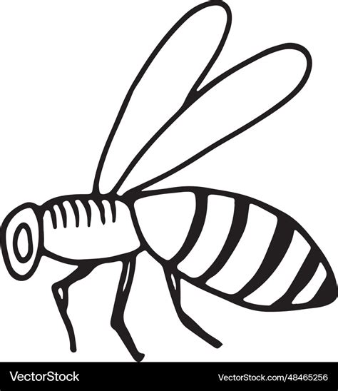 Honey bee drawing beehive flying insect doodle Vector Image