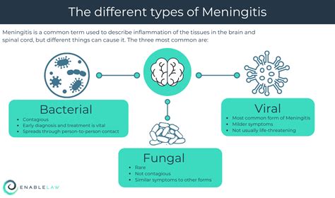 What Are the Different Types of Meningitis? - Enable Law