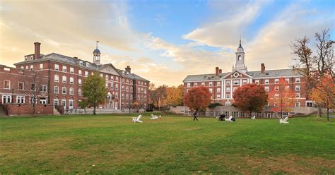 Black Conservatives Cheer Resignation of Harvard President Claudine Gay - The National Center