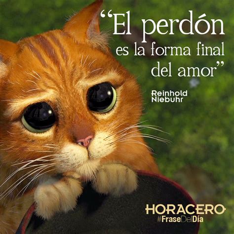 "El perdón es la forma final del amor" Reinhold Niebuhr #Frases #FraseDelDía Puppy Dog Eyes, Dog ...