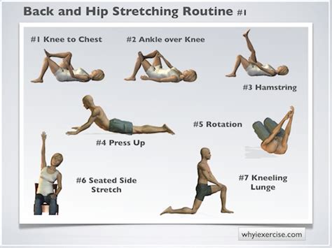 Back stretching exercises: improve flexibility, relieve tension