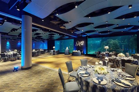 Adventure Aquarium - Museum Weddings - Camden, NJ - WeddingWire