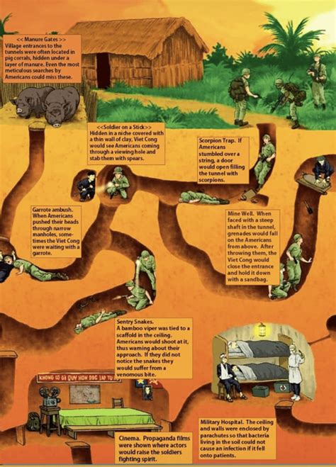 The Hell of Tunnel Warfare in Vietnam. : r/coolguides