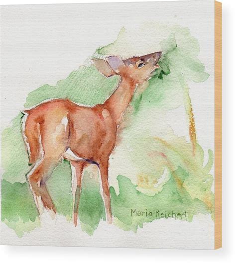 Watercolor Deer Paintings