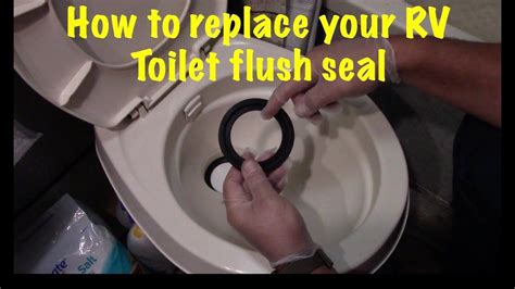 Toilet Ring, Toilet Bowl, Toilet Flapper, Camping Hacks Diy, Rv Repair ...