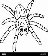 Mother Spider Isolated Coloring Page For Kids Stock Vector Image & Art  sketch template