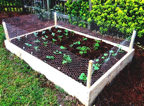 Garden fence ideas for rabbits | Hawk Haven