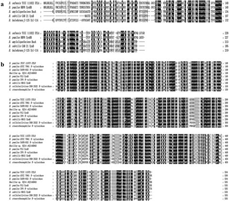 Multiple amino acid sequence alignment. a Alignments of the amino acid... | Download Scientific ...