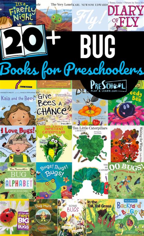 🐛🦋🐞🦟 Bug Books for Preschoolers