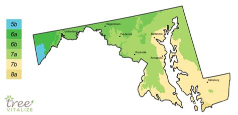 Planting Zones Maryland - Hardiness, Gardening & Climate Zone