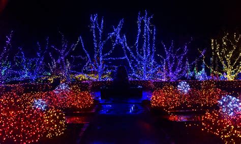 These 4 Christmas light displays in New England are 'absolutely breathtaking,' according to ...