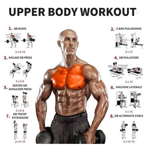 Gain muscle quickly with this full body workout and the ultimate bulking stack, best stack for ...