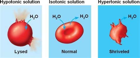 science in a can, Tonicity This is a particular definition that...