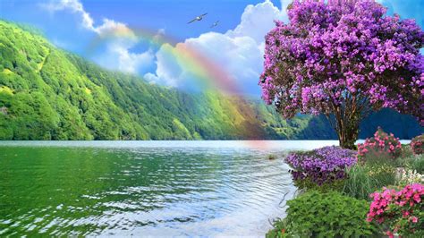 Natural Rainbow HD Wallpapers - Wallpaper Cave