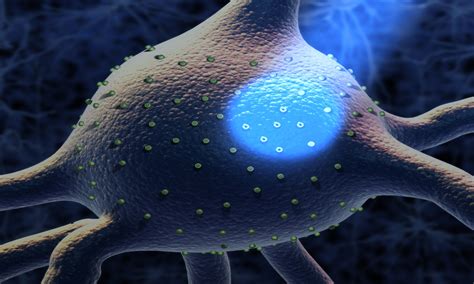 Optogenetics Light Source | Lumencor Light Delivery