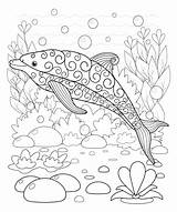 Free DOLPHIN Coloring Pages For Download Printable PDF sketch template