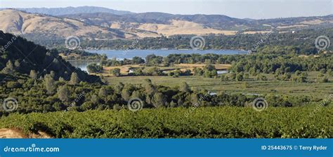 Clear Lake Vineyards stock image. Image of region, hill - 25443675