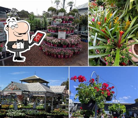 Flower Power Garden Centre Taren Point in Taren Point - Restaurant reviews