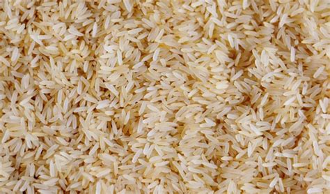 Human genes engineered into GMO rice are being grown in Kansas