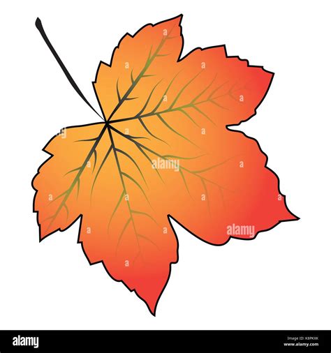 Image of cartoon maple leaf . Vector illustration isolated on white background Stock Vector ...