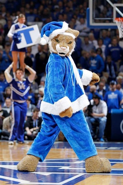 Mascot Fashion. #BBN #Kentucky #GoCats #Wildcats #UofK #Lexington # ...