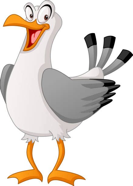 Cartoon Of A Funny Seagull Illustrations, Royalty-Free Vector Graphics & Clip Art - iStock