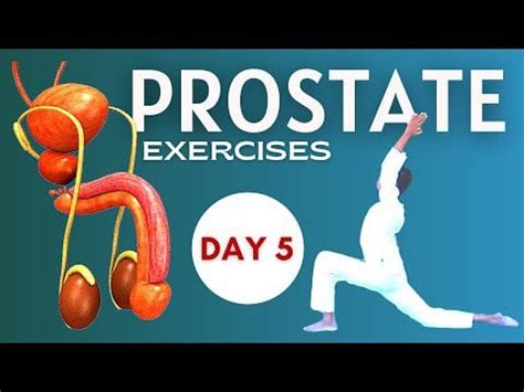 Day 5 - Prostate Exercises : everything