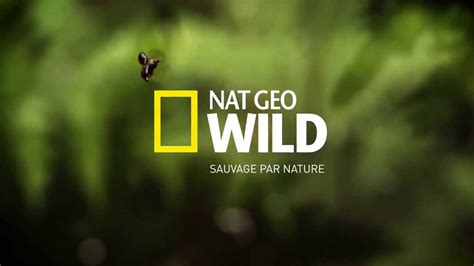 Nat Geo Wild Channel Logo