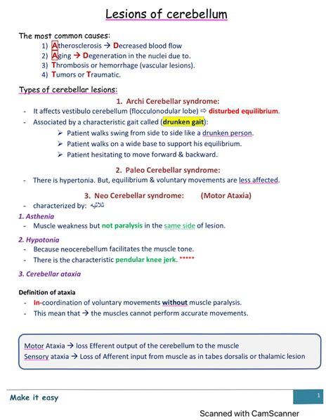 Cerebellar lesion - Physiology - Studocu