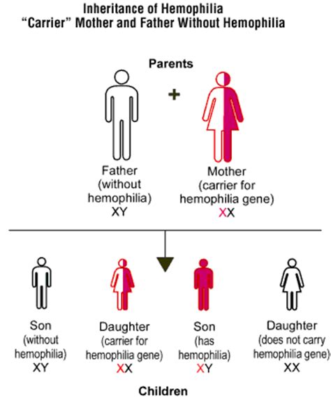 Genetic Mutations & Gene Therapy