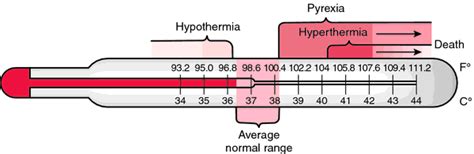 Tympanic thermometer | definition of tympanic thermometer by Medical dictionary