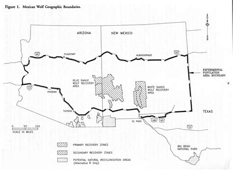 Mexican Wolf Reintroduction Project - Introduction